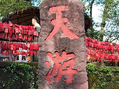 踏青山聚同心，必源環保武夷山團建之旅圓滿收官！
